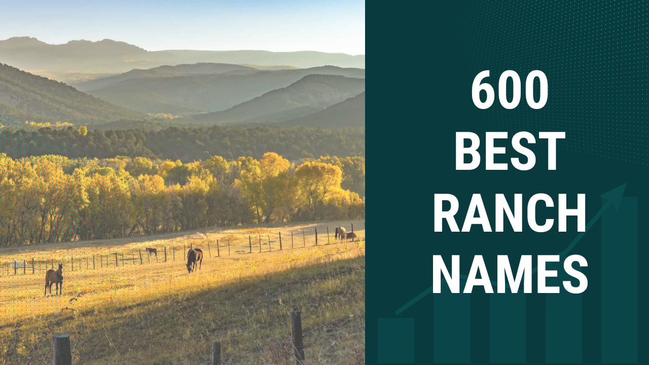 600 Best Ranch Names To Find Inspiration In 2024