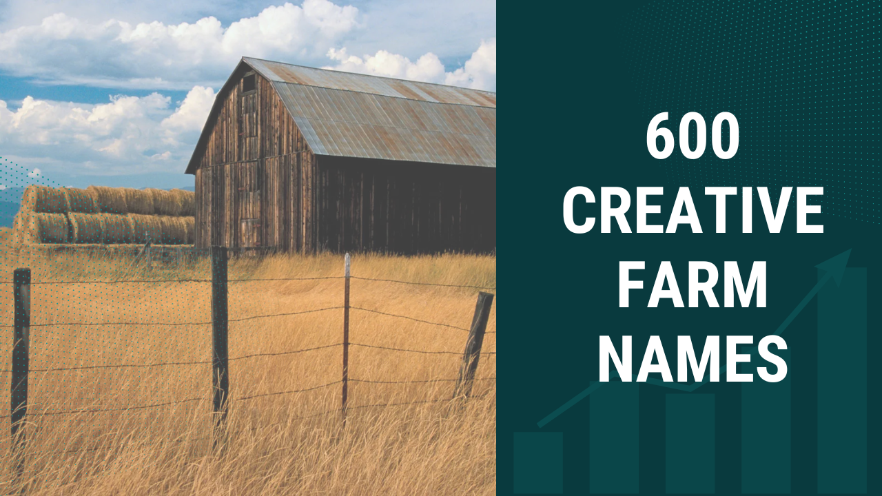 600 Creative Farm Names: Unique Ideas for Your Farm Business